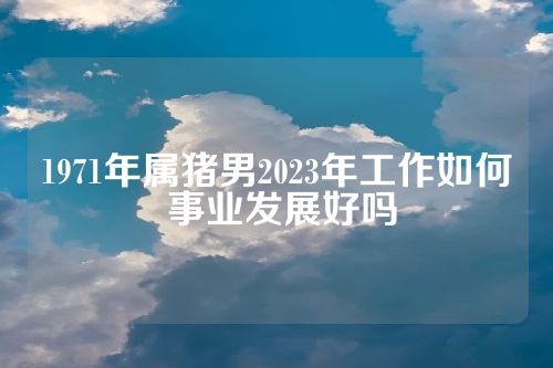 1971年属猪男2023年工作如何 事业发展好吗