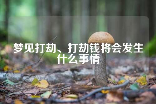 梦见打劫、打劫钱将会发生什么事情