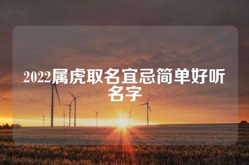 2022属虎取名宜忌简单好听名字