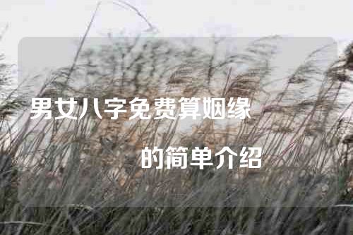 男女八字免费算姻缘																			的简单介绍