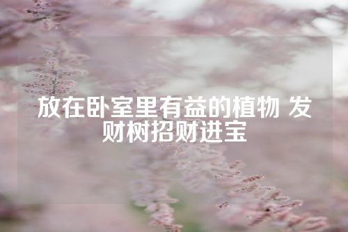 放在卧室里有益的植物 发财树招财进宝