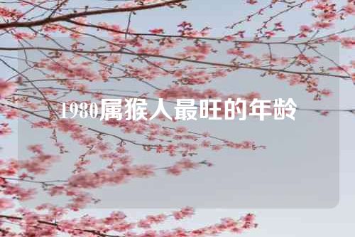 1980属猴人最旺的年龄