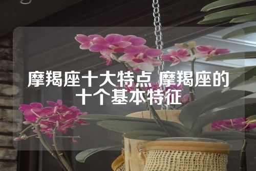 摩羯座十大特点 摩羯座的十个基本特征