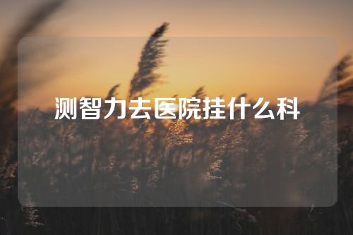测智力去医院挂什么科