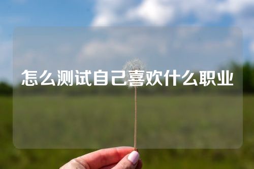 怎么测试自己喜欢什么职业