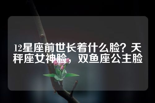 12星座前世长着什么脸？天秤座女神脸，双鱼座公主脸