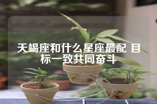 天蝎座和什么星座最配 目标一致共同奋斗