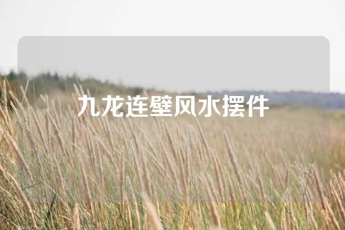 九龙连壁风水摆件