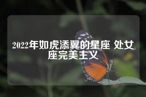 2022年如虎添翼的星座 处女座完美主义