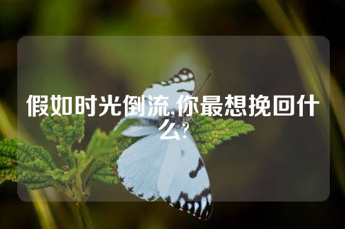 假如时光倒流,你最想挽回什么?
