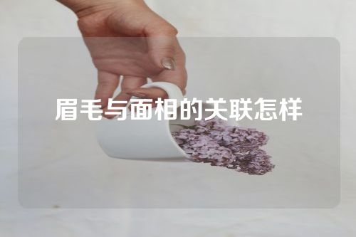 眉毛与面相的关联怎样