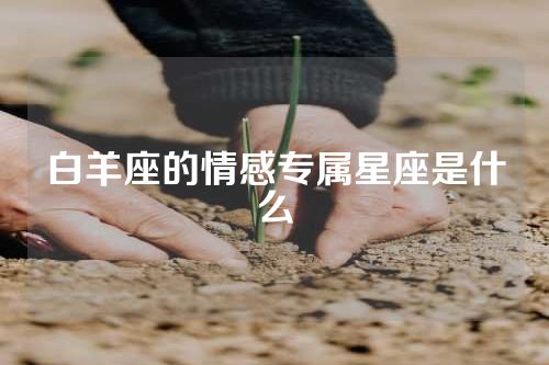 白羊座的情感专属星座是什么