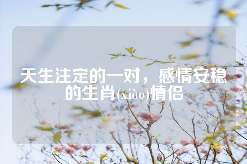 天生注定的一对，感情安稳的生肖(xiào)情侣