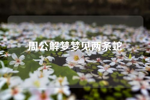 周公解梦梦见两条蛇