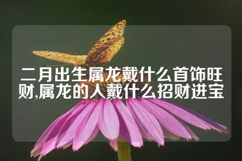 二月出生属龙戴什么首饰旺财,属龙的人戴什么招财进宝