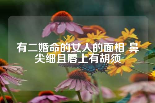 有二婚命的女人的面相 鼻尖细且唇上有胡须