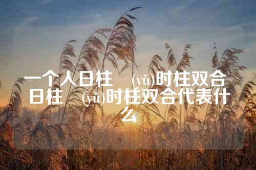 一个人日柱與(yǔ)时柱双合 日柱與(yǔ)时柱双合代表什么
