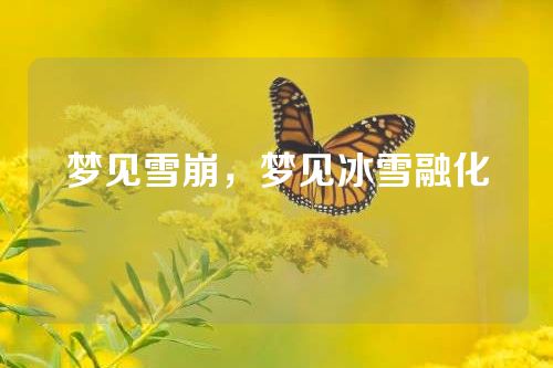 梦见雪崩，梦见冰雪融化
