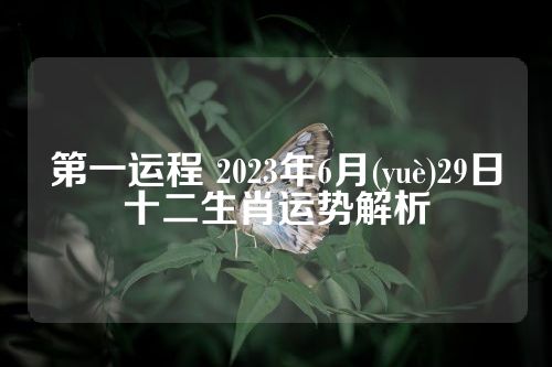 第一运程 2023年6月(yuè)29日十二生肖运势解析