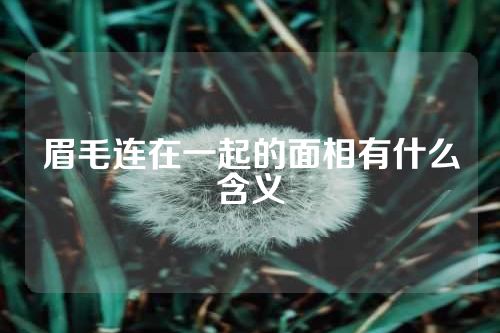 眉毛连在一起的面相有什么含义