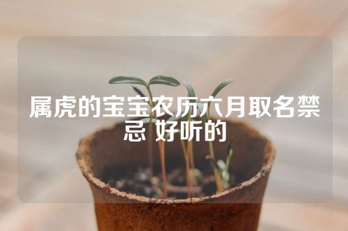 属虎的宝宝农历六月取名禁忌 好听的