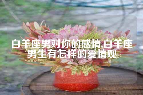 白羊座男对你的感情,白羊座男生有怎样的爱情观