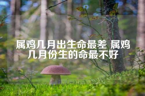 属鸡几月出生命最差 属鸡几月份生的命最不好