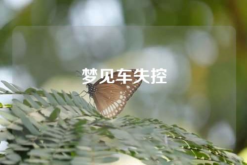 梦见车失控