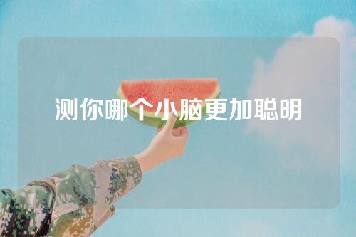 测你哪个小脑更加聪明