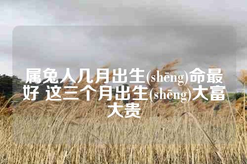 属兔人几月出生(shēng)命最好 这三个月出生(shēng)大富大贵