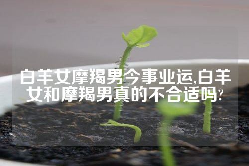 白羊女摩羯男今事业运,白羊女和摩羯男真的不合适吗?