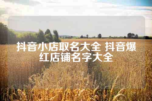 抖音小店取名大全 抖音爆红店铺名字大全