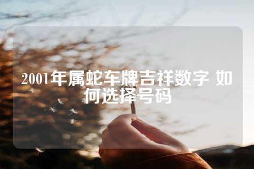 2001年属蛇车牌吉祥数字 如何选择号码
