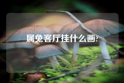 属兔客厅挂什么画?