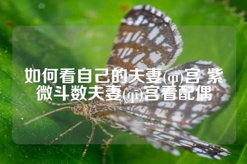 如何看自己的夫妻(qī)宫 紫微斗数夫妻(qī)宫看配偶