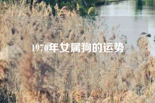 1970年女属狗的运势