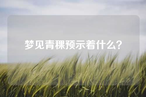 梦见青稞预示着什么？