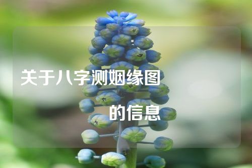 关于八字测姻缘图																			的信息