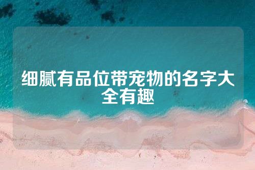 细腻有品位带宠物的名字大全有趣