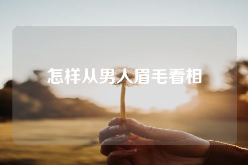 怎样从男人眉毛看相