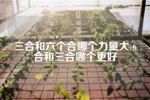 三合和六个合哪个力量大 6合和三合哪个更好