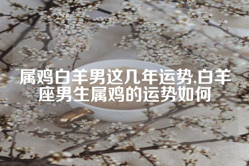 属鸡白羊男这几年运势,白羊座男生属鸡的运势如何