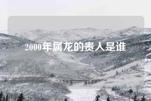 2000年属龙的贵人是谁