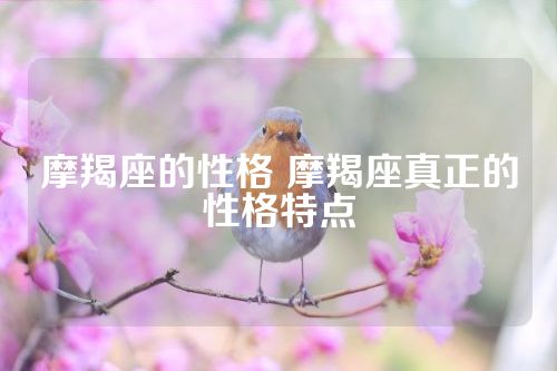 摩羯座的性格 摩羯座真正的性格特点