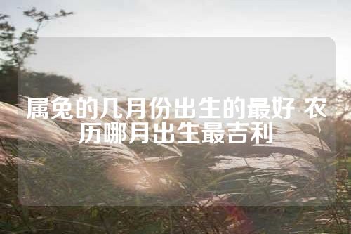 属兔的几月份出生的最好 农历哪月出生最吉利