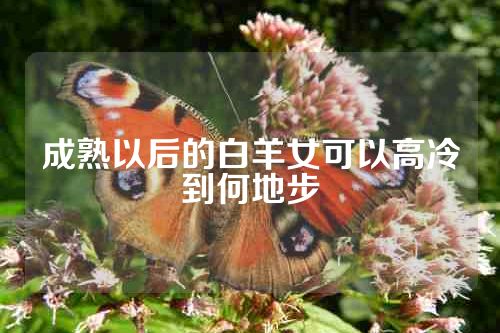 成熟以后的白羊女可以高冷到何地步