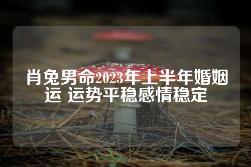 肖兔男命2023年上半年婚姻运 运势平稳感情稳定