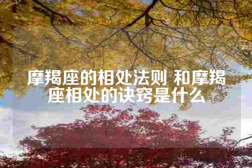 摩羯座的相处法则 和摩羯座相处的诀窍是什么