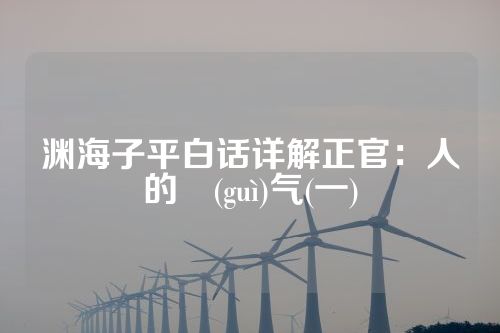 渊海子平白话详解正官：人的貴(guì)气(一)
