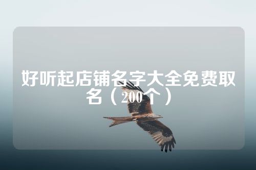 好听起店铺名字大全免费取名（200个）